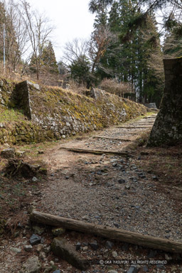 大手道｜高解像度画像サイズ：4480 x 6720 pixels｜写真番号：5D4A6599｜撮影：Canon EOS 5D Mark IV