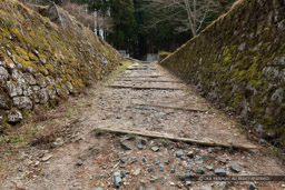 大手道｜高解像度画像サイズ：6240 x 4160 pixels｜写真番号：5D4A6604｜撮影：Canon EOS 5D Mark IV