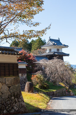 太鼓櫓・表御門｜高解像度画像サイズ：5735 x 8603 pixels｜写真番号：5DSA8941｜撮影：Canon EOS 5DS