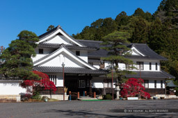 岩村山荘｜高解像度画像サイズ：8066 x 5378 pixels｜写真番号：5DSA8952｜撮影：Canon EOS 5DS