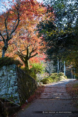 登城路｜高解像度画像サイズ：5792 x 8688 pixels｜写真番号：5DSA8955｜撮影：Canon EOS 5DS