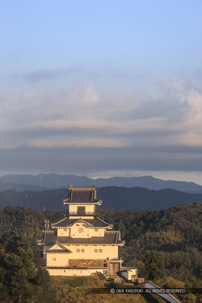 掛川城の遠景