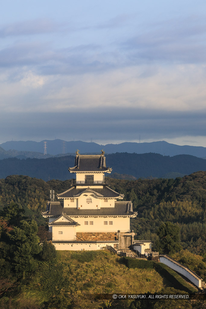 掛川城の遠景