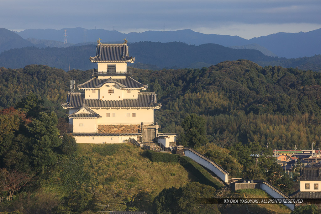 掛川城の遠景