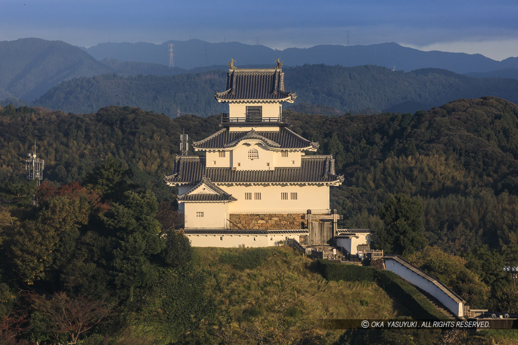 掛川城の遠景