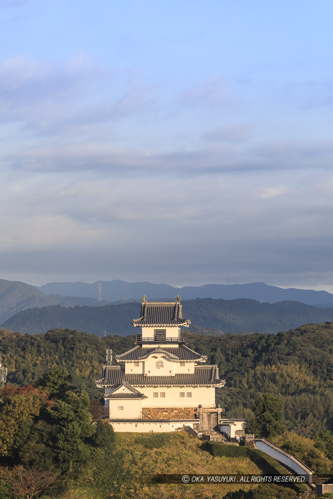 掛川城の遠景・縦