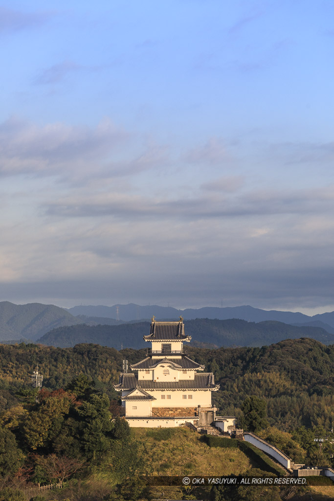 掛川城の遠景・縦