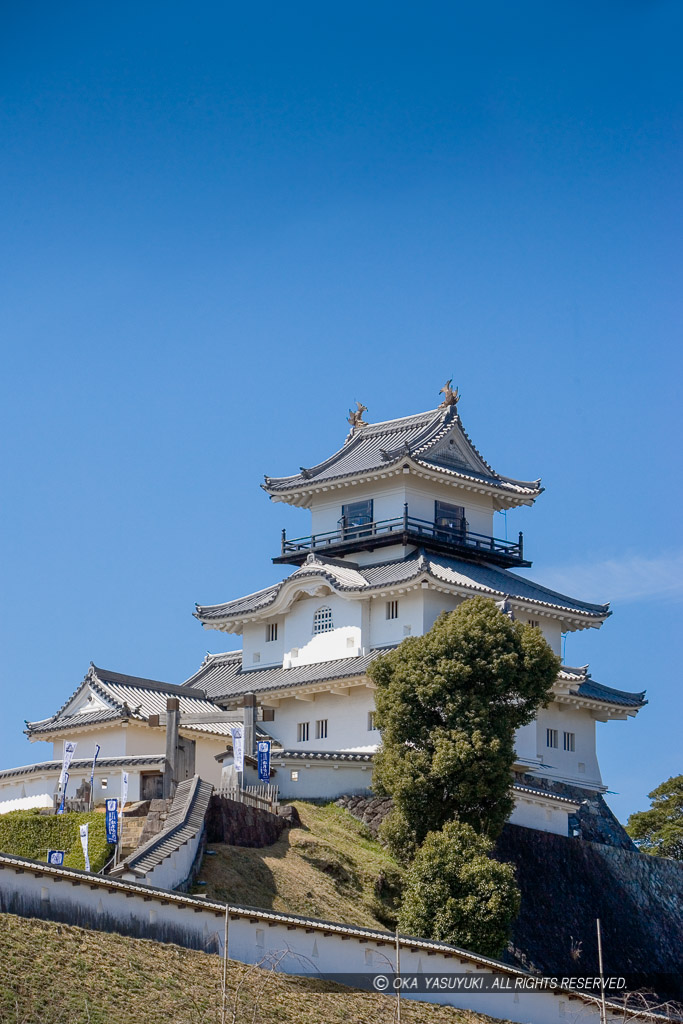 掛川城三の丸から望む天守