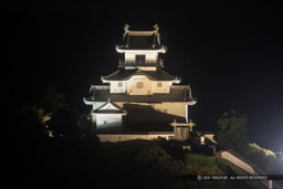 天守ライトアップ｜高解像度画像サイズ：5768 x 3845 pixels｜写真番号：5D4A2263｜撮影：Canon EOS 5D Mark IV