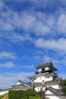 掛川城と青空・腰櫓台跡から望む天守｜高解像度画像サイズ：4480 x 6720 pixels｜写真番号：5D4A2805｜撮影：Canon EOS 5D Mark IV