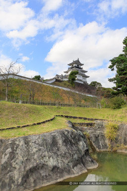 掛川城三日月堀から天守を望む｜高解像度画像サイズ：3913 x 5869 pixels｜写真番号：5D4A2950｜撮影：Canon EOS 5D Mark IV