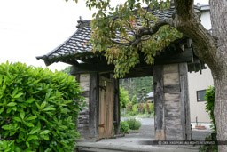 掛川城移築城門・龍雲寺裏門｜高解像度画像サイズ：4861 x 3241 pixels｜写真番号：VJ7Z7804｜撮影：Canon EOS-1Ds Mark II