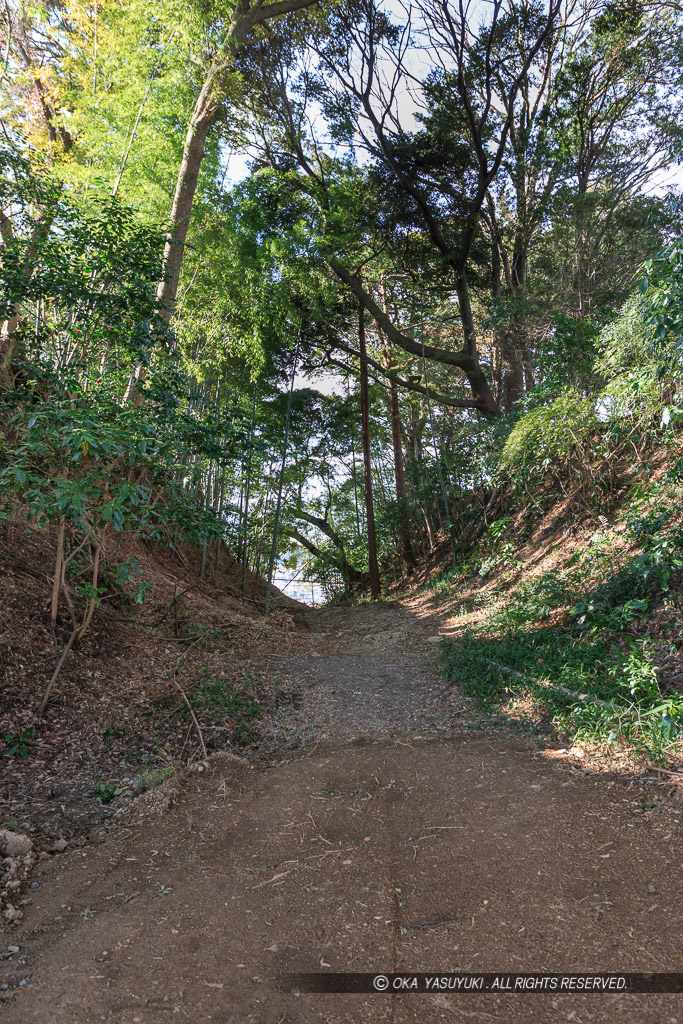 掛川古城の大堀切