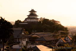 掛川古城から望む掛川城｜高解像度画像サイズ：5953 x 3969 pixels｜写真番号：5D4A2205｜撮影：Canon EOS 5D Mark IV