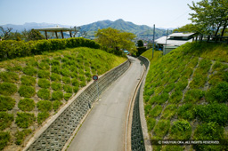 | 高解像度画像サイズ:3941 x 2622 pixels | 写真番号:100-1175S53B | 撮影:Canon EOS-1DS
