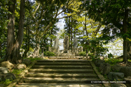 | 高解像度画像サイズ:4064 x 2704 pixels | 写真番号:100-1210S53B | 撮影:Canon EOS-1DS