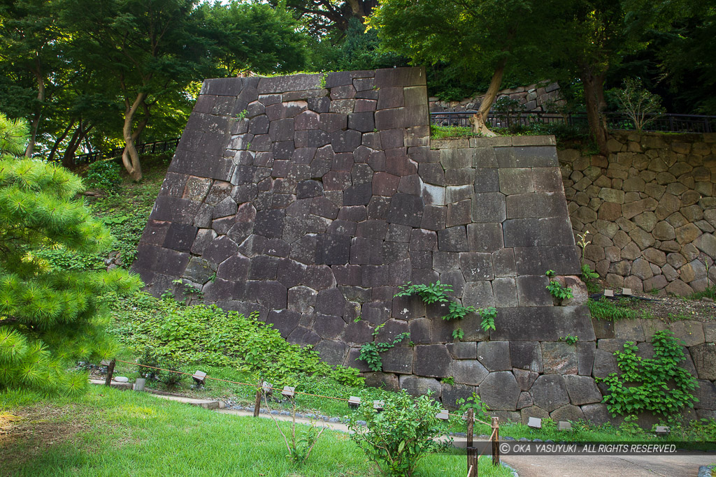 玉泉院丸庭園付近の石垣