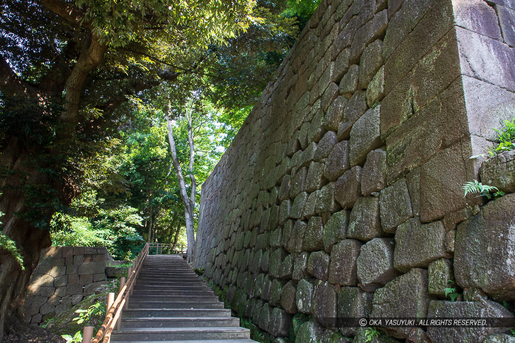 玉泉院丸庭園に面する石垣