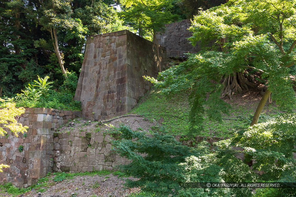 玉泉院丸庭園付近の石垣