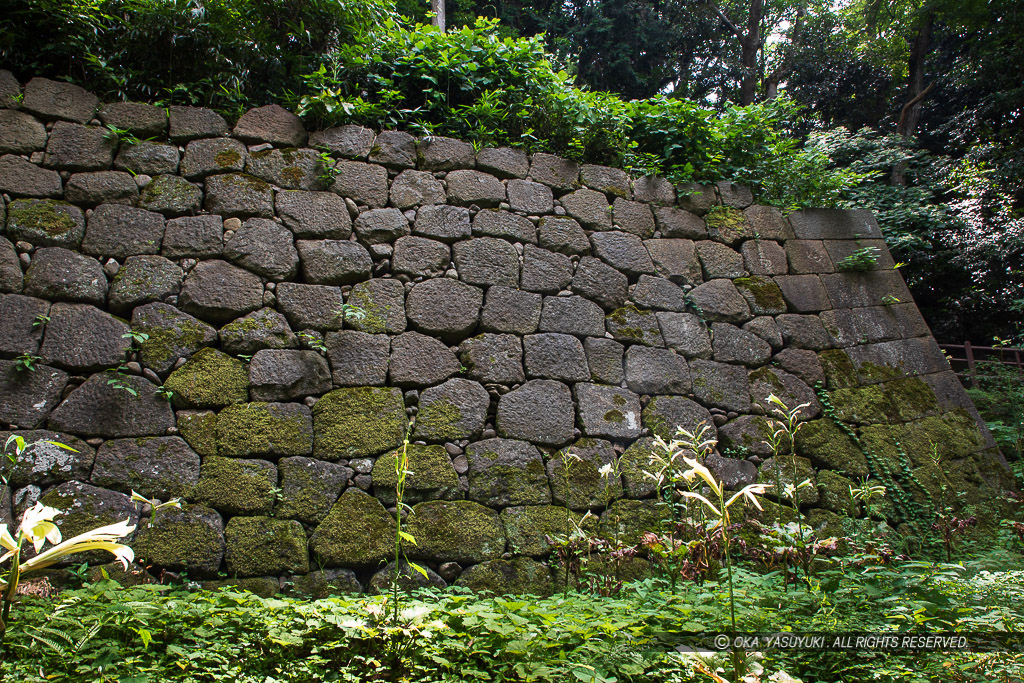 薪の丸東側の石垣