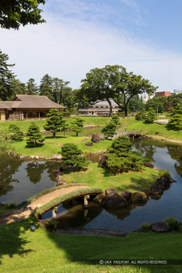 玉泉院丸庭園｜高解像度画像サイズ：4395 x 6592 pixels｜写真番号：5D4A8187｜撮影：Canon EOS 5D Mark IV