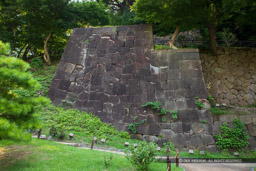 玉泉院丸庭園付近の石垣|高解像度画像サイズ:6720 x 4480 pixels|写真番号:5D4A8195|撮影:Canon EOS 5D Mark IV