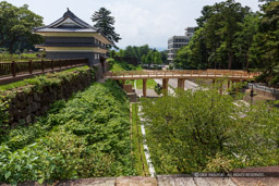 鼠多聞の横矢掛け・鼠多聞続櫓台から｜高解像度画像サイズ：6720 x 4480 pixels｜写真番号：5D4A8339｜撮影：Canon EOS 5D Mark IV