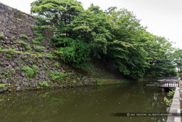 大手堀｜高解像度画像サイズ：6720 x 4480 pixels｜写真番号：5D4A8443｜撮影：Canon EOS 5D Mark IV
