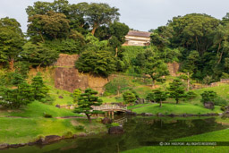 玉泉院丸庭園｜高解像度画像サイズ：6641 x 4427 pixels｜写真番号：5D4A8675｜撮影：Canon EOS 5D Mark IV