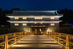鼠多聞ライトアップ|高解像度画像サイズ:6714 x 4476 pixels|写真番号:5D4A8771|撮影:Canon EOS 5D Mark IV