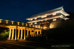 鼠多聞ライトアップ|高解像度画像サイズ:6720 x 4480 pixels|写真番号:5D4A8772|撮影:Canon EOS 5D Mark IV