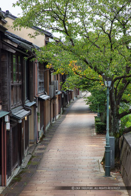 主計町茶屋街・料理料亭街｜高解像度画像サイズ：4480 x 6720 pixels｜写真番号：5D4A8525｜撮影：Canon EOS 5D Mark IV