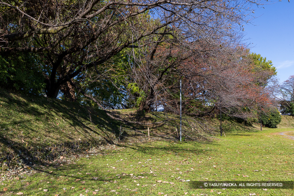 加納城本丸土塁（西側）と天守台跡