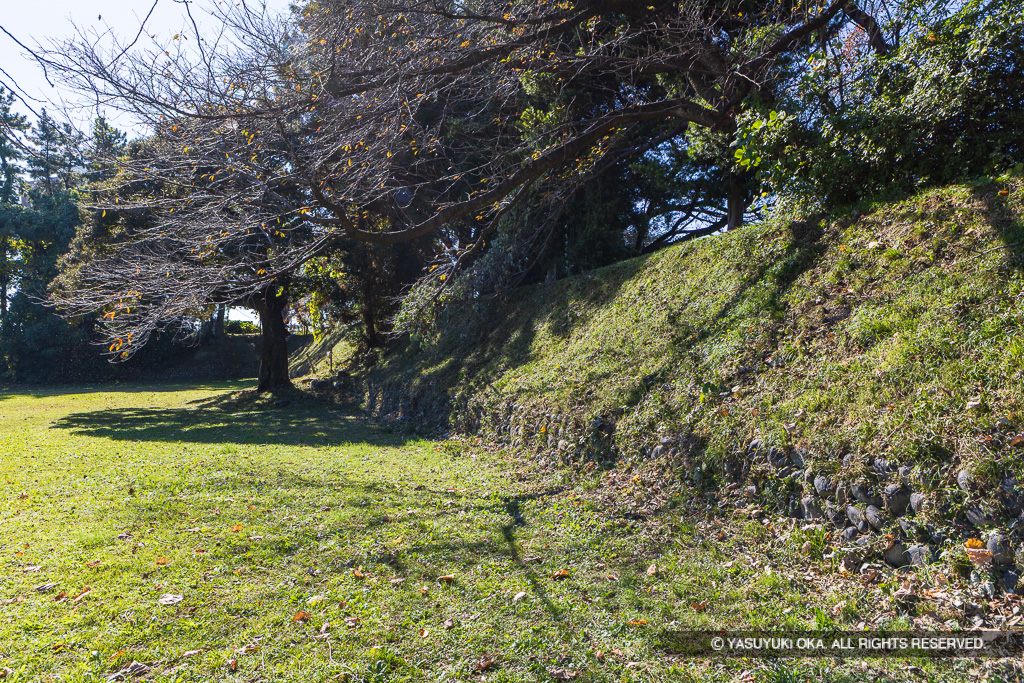 本丸土塁（西側）