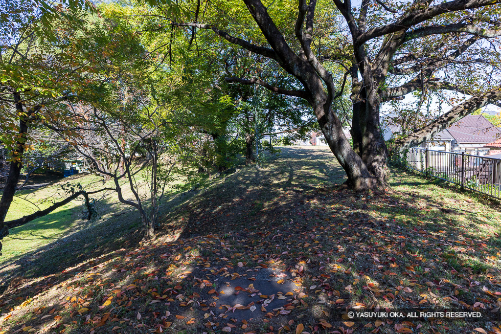 本丸土塁（東側）