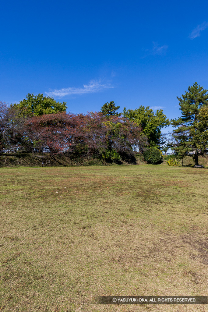加納城本丸から天守台を望む