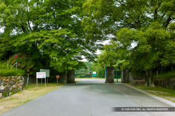 臆病門跡 | 高解像度画像サイズ：4064 x 2704 pixels | 写真番号：100-4047S53B | 撮影：Canon EOS-1DS