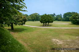 本丸跡 | 高解像度画像サイズ：4064 x 2704 pixels | 写真番号：100-4055S53B | 撮影：Canon EOS-1DS