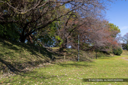 加納城本丸土塁（西側）と天守台跡 | 高解像度画像サイズ：7202 x 4804 pixels | 写真番号：6F1A5992 | 撮影：Canon EOS R5m2