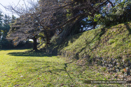 本丸土塁（西側） | 高解像度画像サイズ：8192 x 5464 pixels | 写真番号：6F1A5993 | 撮影：Canon EOS R5m2