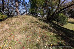 天守台跡 | 高解像度画像サイズ：8192 x 5464 pixels | 写真番号：6F1A5997 | 撮影：Canon EOS R5m2