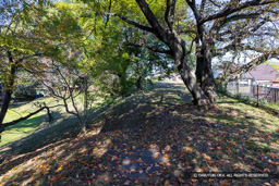 本丸土塁（東側） | 高解像度画像サイズ：8192 x 5464 pixels | 写真番号：6F1A6001 | 撮影：Canon EOS R5m2