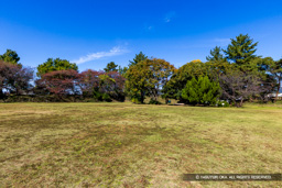 加納城本丸から天守台を望む | 高解像度画像サイズ：8192 x 5464 pixels | 写真番号：6F1A6009 | 撮影：Canon EOS R5m2