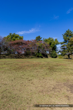 加納城本丸から天守台を望む | 高解像度画像サイズ：5464 x 8192 pixels | 写真番号：6F1A6014 | 撮影：Canon EOS R5m2