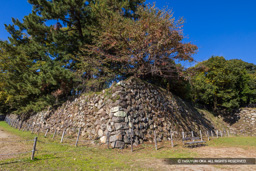 加納城本丸東南隅櫓台 | 高解像度画像サイズ：8192 x 5464 pixels | 写真番号：6F1A6018 | 撮影：Canon EOS R5m2