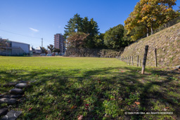 本丸南側の堀跡 | 高解像度画像サイズ：8192 x 5464 pixels | 写真番号：6F1A6024 | 撮影：Canon EOS R5m2