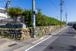 二の丸石垣石か | 高解像度画像サイズ：8192 x 5464 pixels | 写真番号：6F1A6027 | 撮影：Canon EOS R5m2