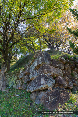 加納城天守台石垣 | 高解像度画像サイズ：5464 x 8192 pixels | 写真番号：6F1A6041 | 撮影：Canon EOS R5m2