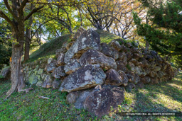加納城天守台石垣 | 高解像度画像サイズ：8192 x 5464 pixels | 写真番号：6F1A6042 | 撮影：Canon EOS R5m2