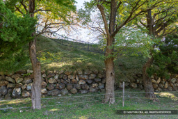 本丸石垣（西側） | 高解像度画像サイズ：8192 x 5464 pixels | 写真番号：6F1A6047 | 撮影：Canon EOS R5m2